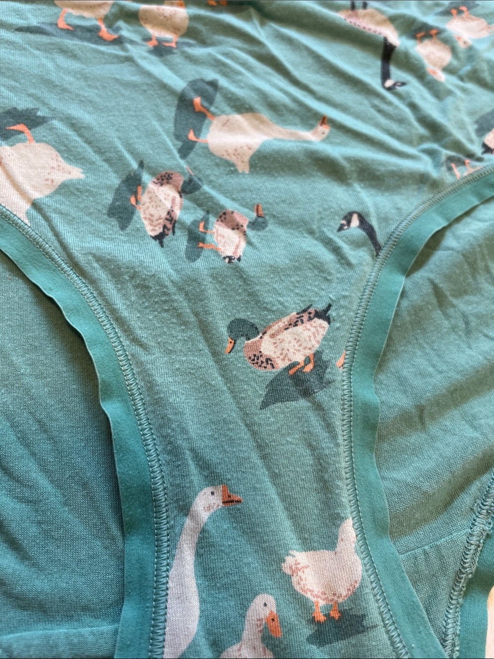 Duluth Trading Co Teal Goose & Duck Print Hipster Panties - Picture 6 of 8